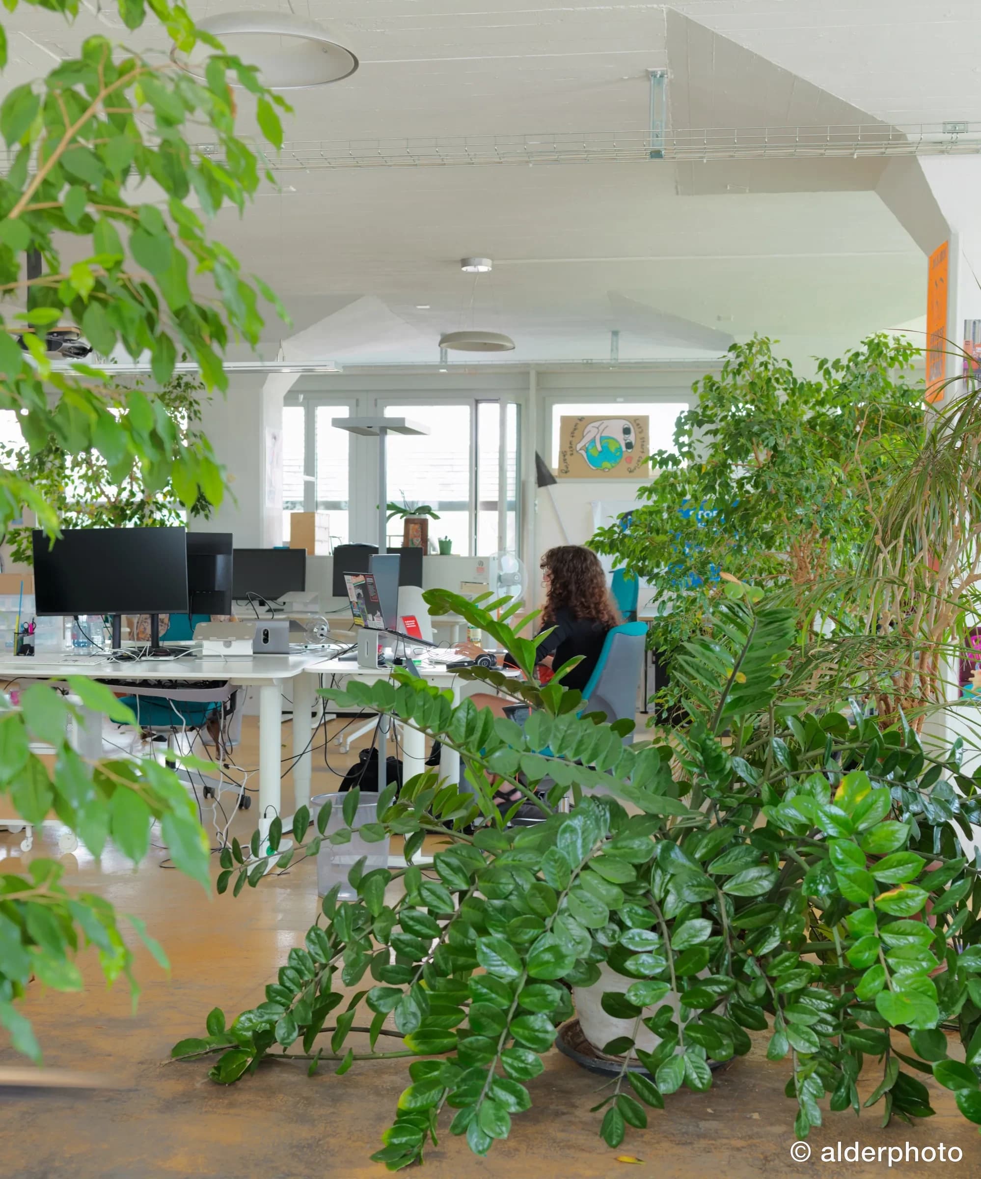 Am Arbeitsplatz zwischen Pflanzen