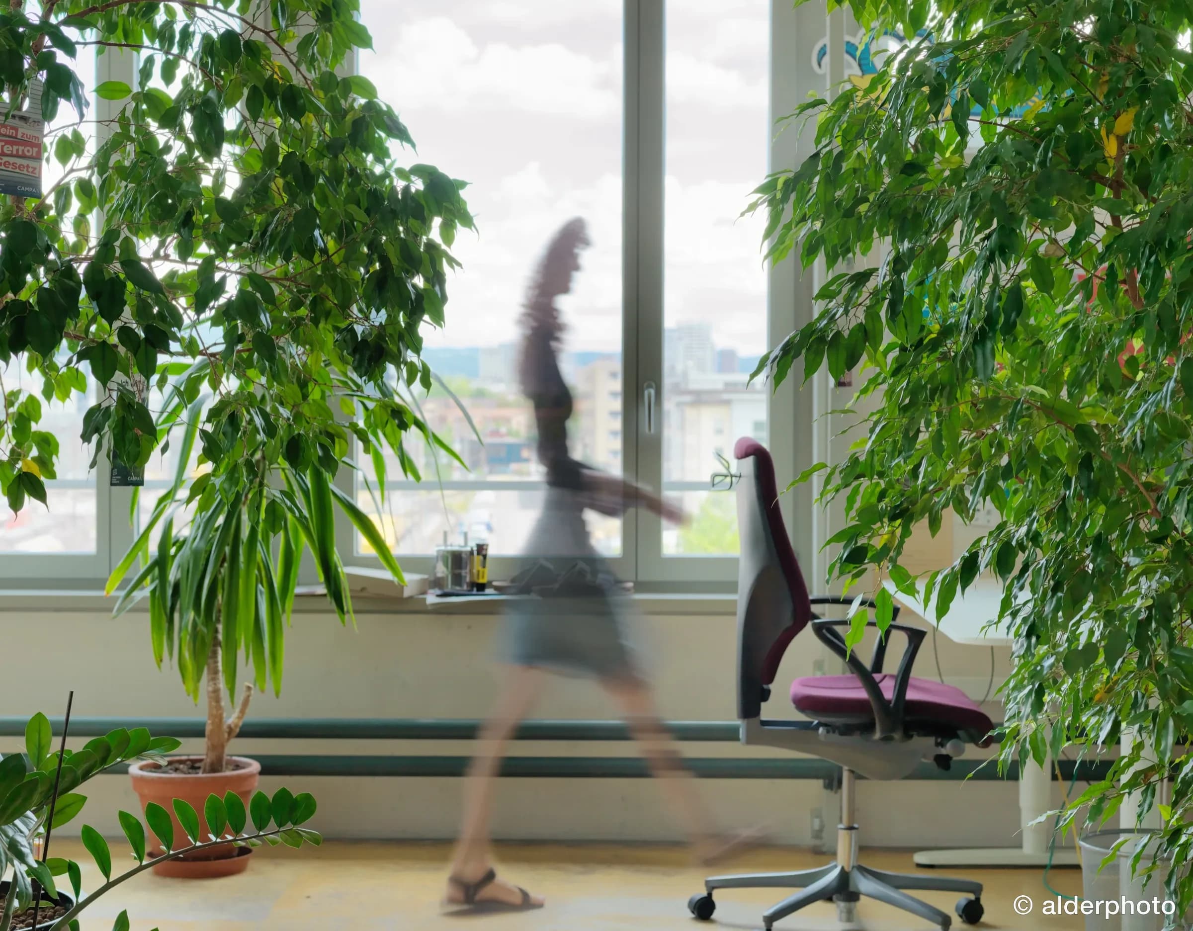 Arbeitsplatz mitten im Grünen
